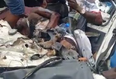 5935e416 8ff3 4e7f 8bc9 77e7e30c31aa