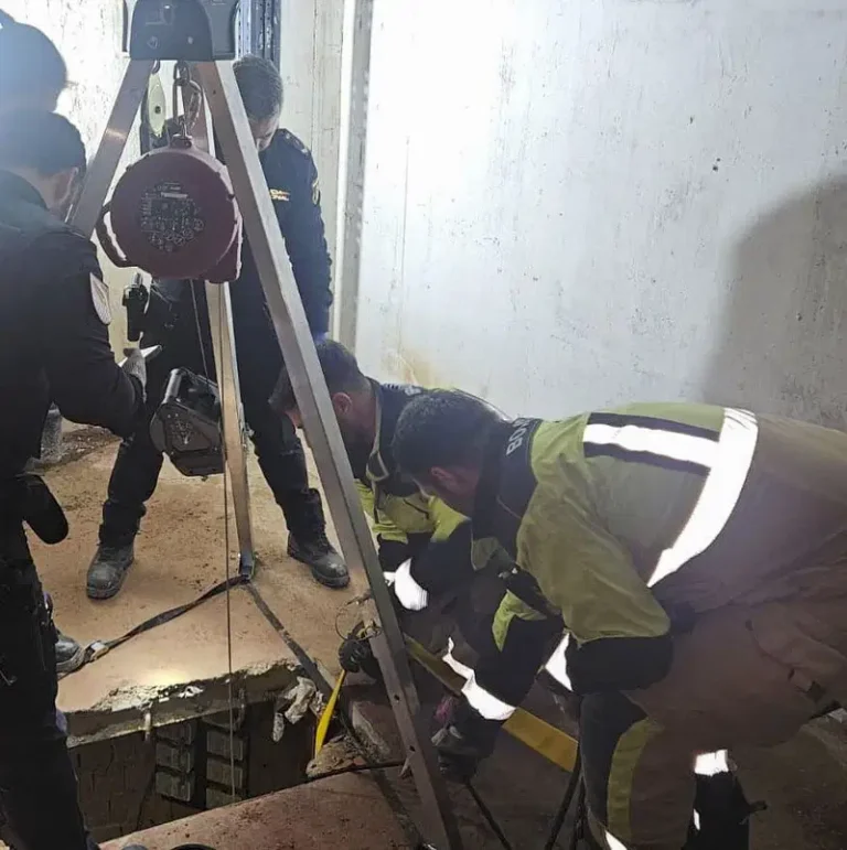 1005183857 768x771 1.webp