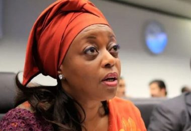 1776144904 Diezani