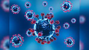 1777301421 images 10