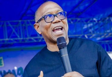 1777408820 Peter Obi