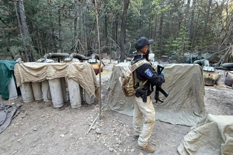 496cbddb7ff4dab67709e695699b3005a6fae0d0ff44a219a16321478a191fd4