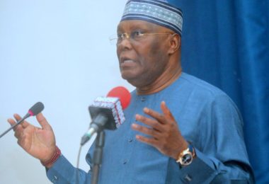 597442938 1557789859036086 1432183470684074258 n