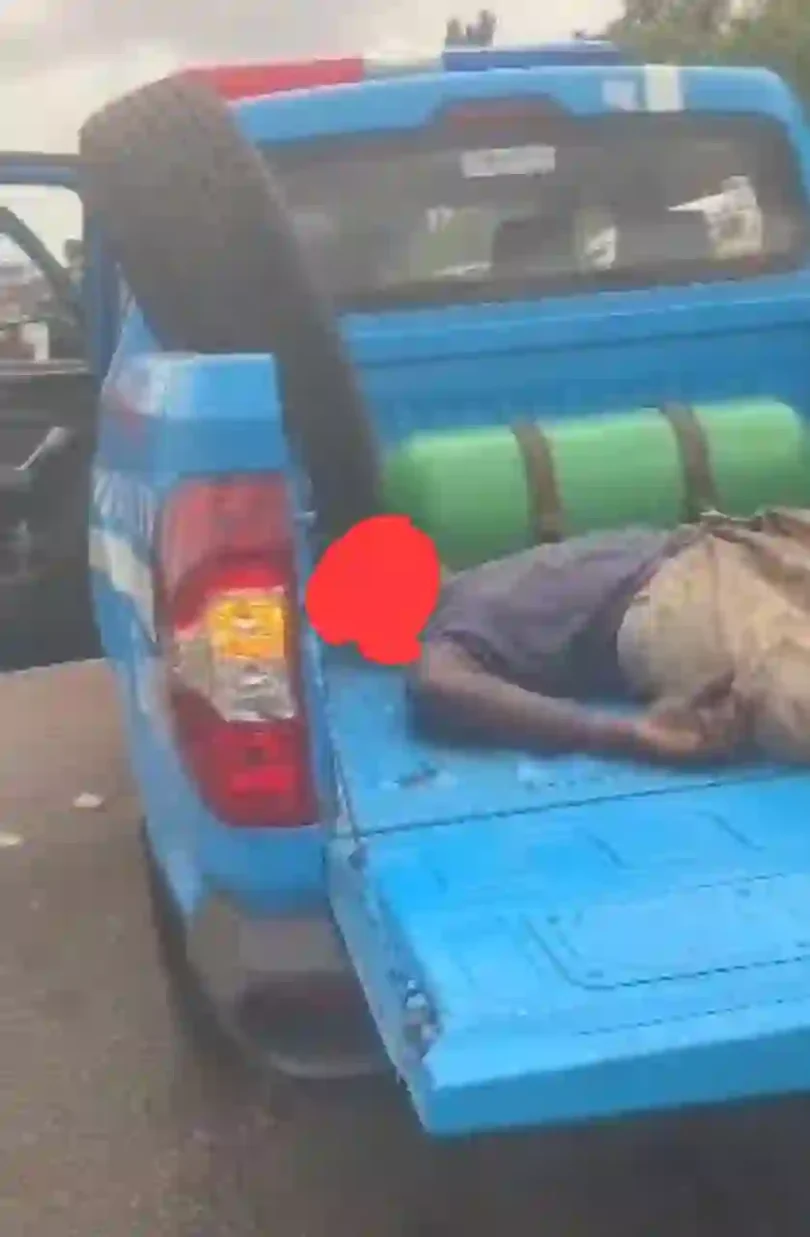 59cf9f4f b651 48c0 a423 45af8169d8b8 1