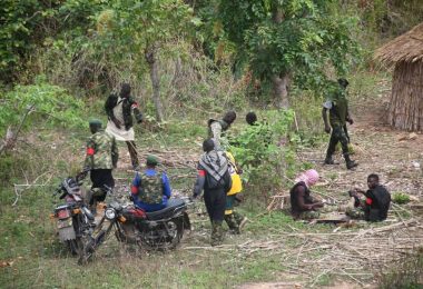 674552763 10174270880215026 1734280595540082633 n