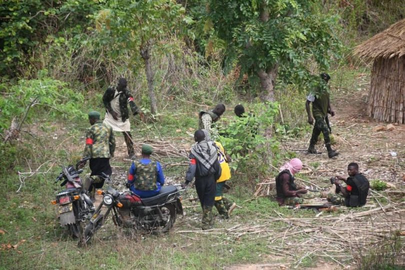 674552763 10174270880215026 1734280595540082633 n