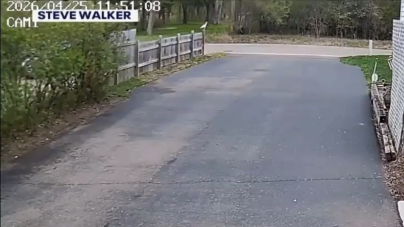 69ee72ab203027062a4dbda2