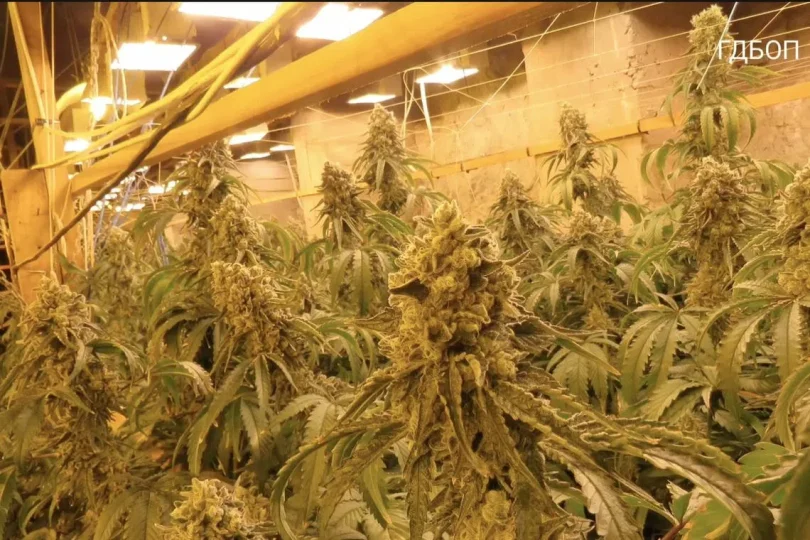 72bf360811956a4089d3b563fb0186ea440f64937ded46fa503248eac522d7a7