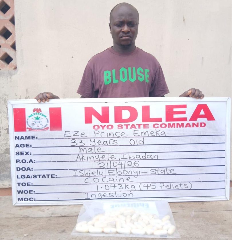 9641dd0f e2dc 48ad 96af 5e258772bd7f