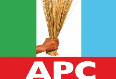 APC Logo 1