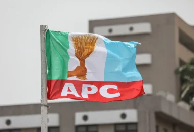 APC flag 2