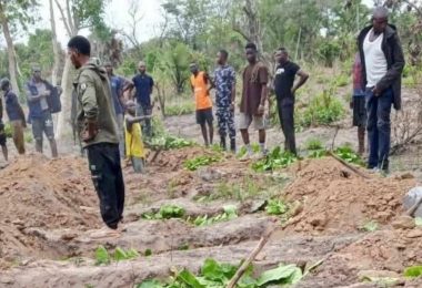 Burial Ground of Benue Attack Victims scaled e1776323223855
