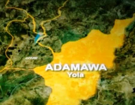 EEB24BFE 5EF0 44DD 81E5 FA58AFE8ED7B