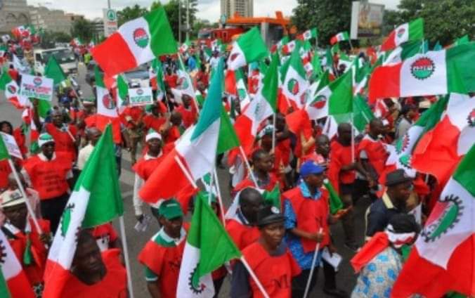 FB IMG 1682708738706