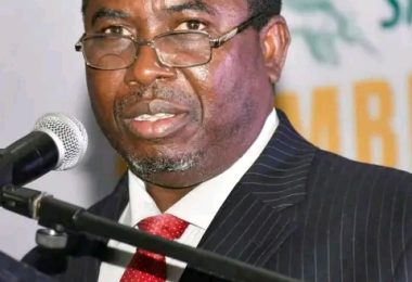 FB IMG 17769264053842935