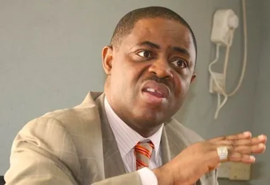 Femi Fani Kayode 1
