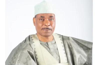 Former Inspector General of Police Mohammed Abubakar Adamu