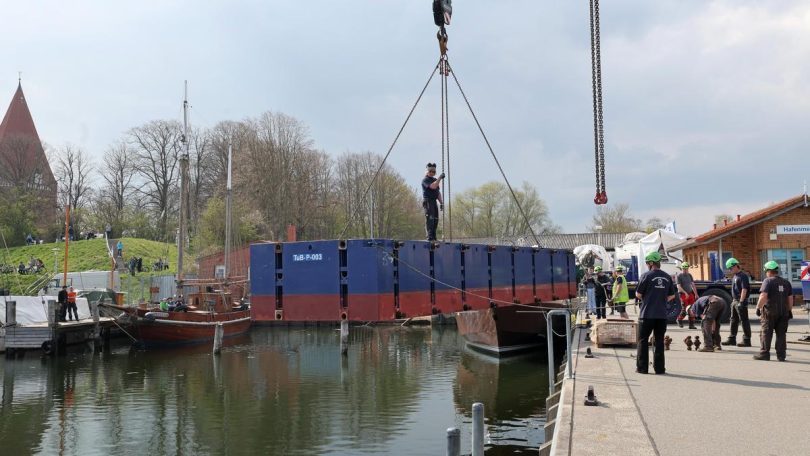 Germany Whale Rescue 18484