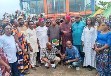 Henry Udeh emerges Labour Party Chairman in Ebonyi