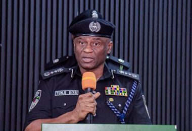 IGP Olatunji Disu