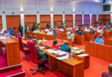 IMG 20251223 WA0157 300x166 1