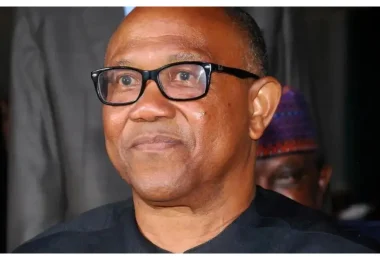 Labour party Peter Obi