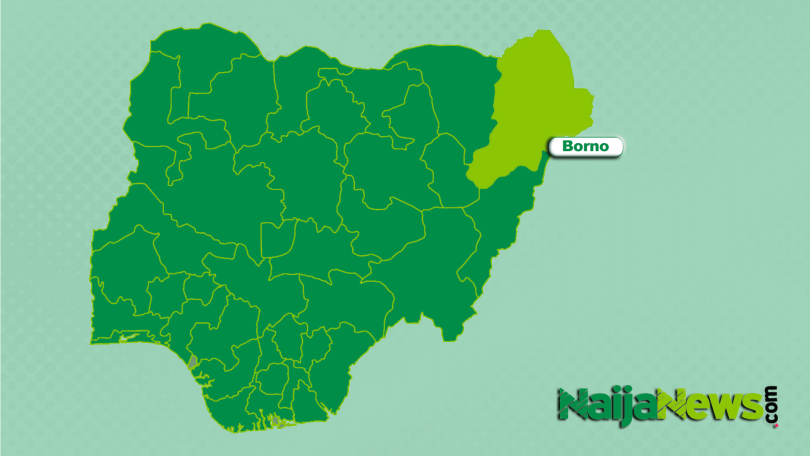 Map of Borno State Nigeria