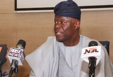 Minister of Finance and Coordinating Minister of the Economy Mr Wale Edun