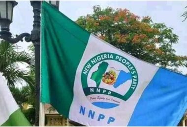 MixCollage 16 Nov 2023 04 52 PM 1477