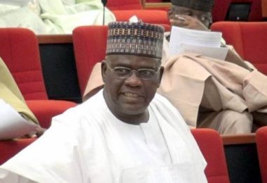 Mohammad Danjuma Goje