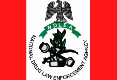 NDLEA 1 1