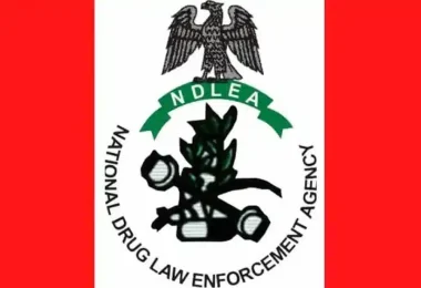 NDLEA 1 1.png