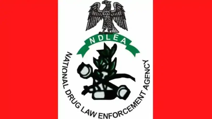 NDLEA 1 1.png
