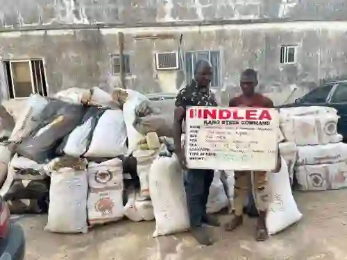 NDLEA DRUG KINGPIN 1