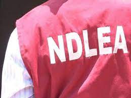 NDLEA