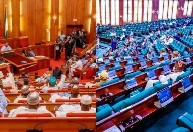 Nigerian Senate And House Of Reps