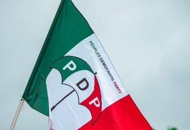 PDP logo