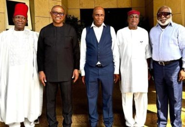 Rotimi Amaechi Centre hosts Peter Obi others