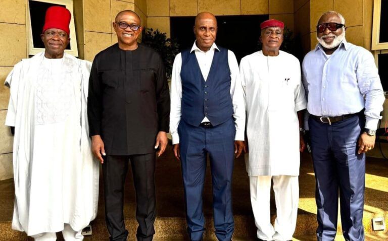 Rotimi Amaechi Centre hosts Peter Obi others