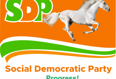 SDP LOGO C