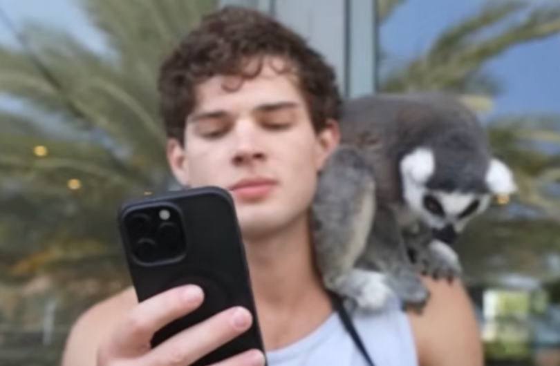 Screenshot 2026 03 26 at 7.25.38 PM