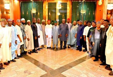 Tinubu and APC governors
