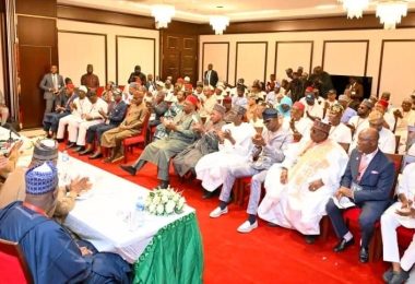 Tinubu and State Governors RHA