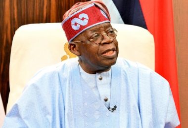 Tinubu commissions projects in Ogun