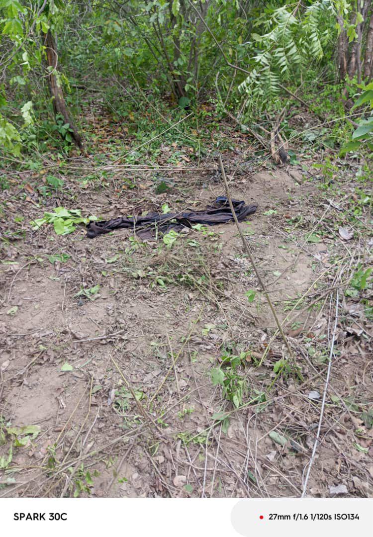 WhatsApp Image 2026 04 24 at 7.11.25 AM