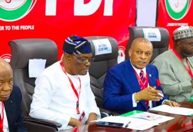Wike Aligned PDP Acting Chairman