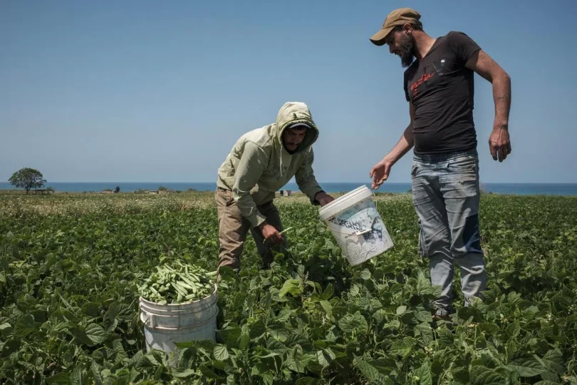 ca175a1020ac1958dca78403bc674bf0833e3a8272461d20d627db1ca9b154c2