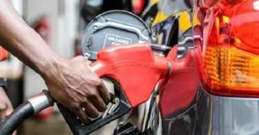 daily petrol consumption