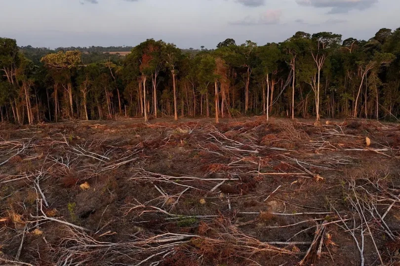 ec0b499ce1f15628856d56386cdac71a32a444f3fce99a8d08bb5fed0b8b852b