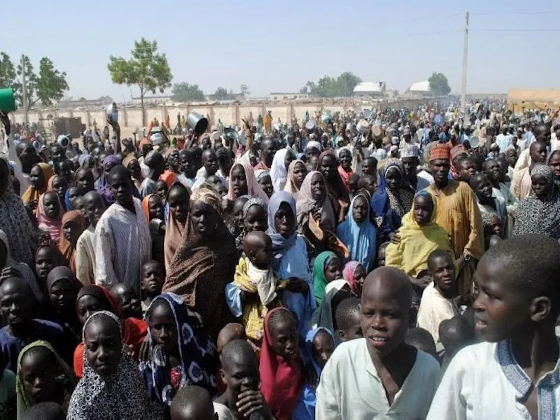 katsina idp